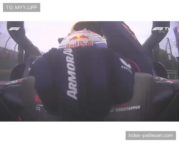 维斯塔潘巴西站排位赛Q1出局 赛车缺乏抓地力及调校偏差为主因